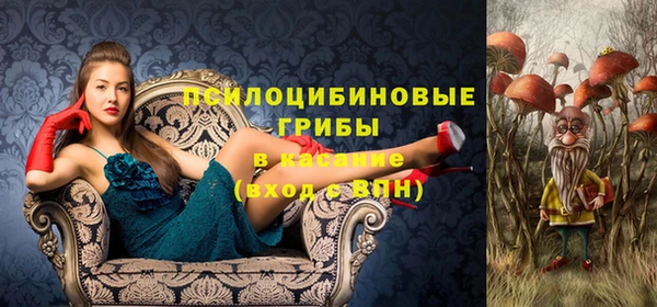 стаф Белоозёрский