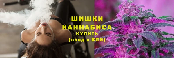 стаф Белоозёрский
