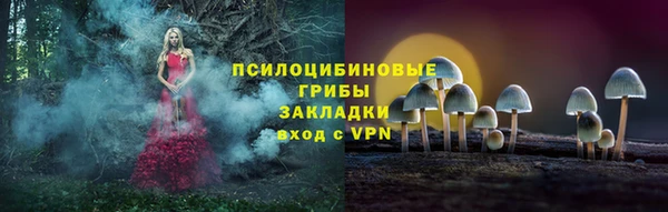 стаф Белоозёрский