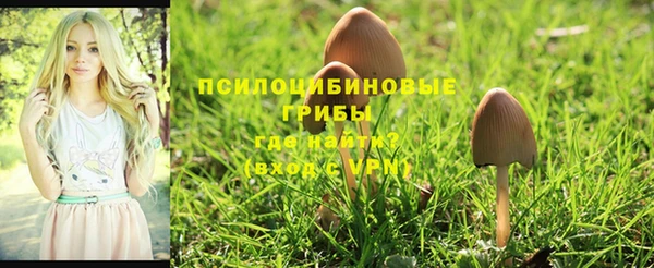 стаф Белоозёрский