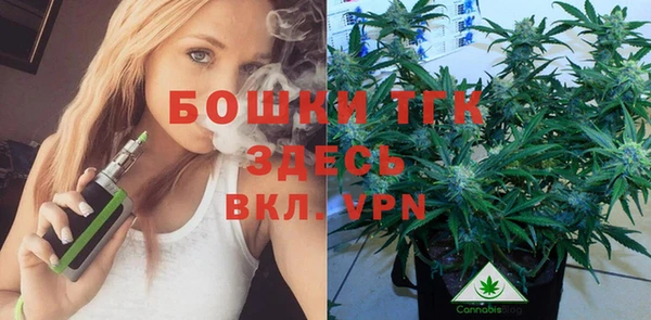 твердый Белокуриха