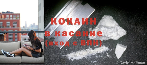 стаф Белоозёрский