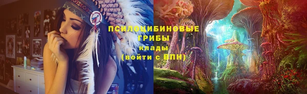 твердый Белокуриха