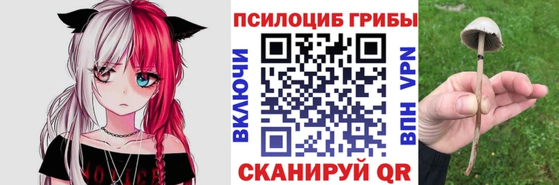 Галлюциногенные грибы Cubensis Игра